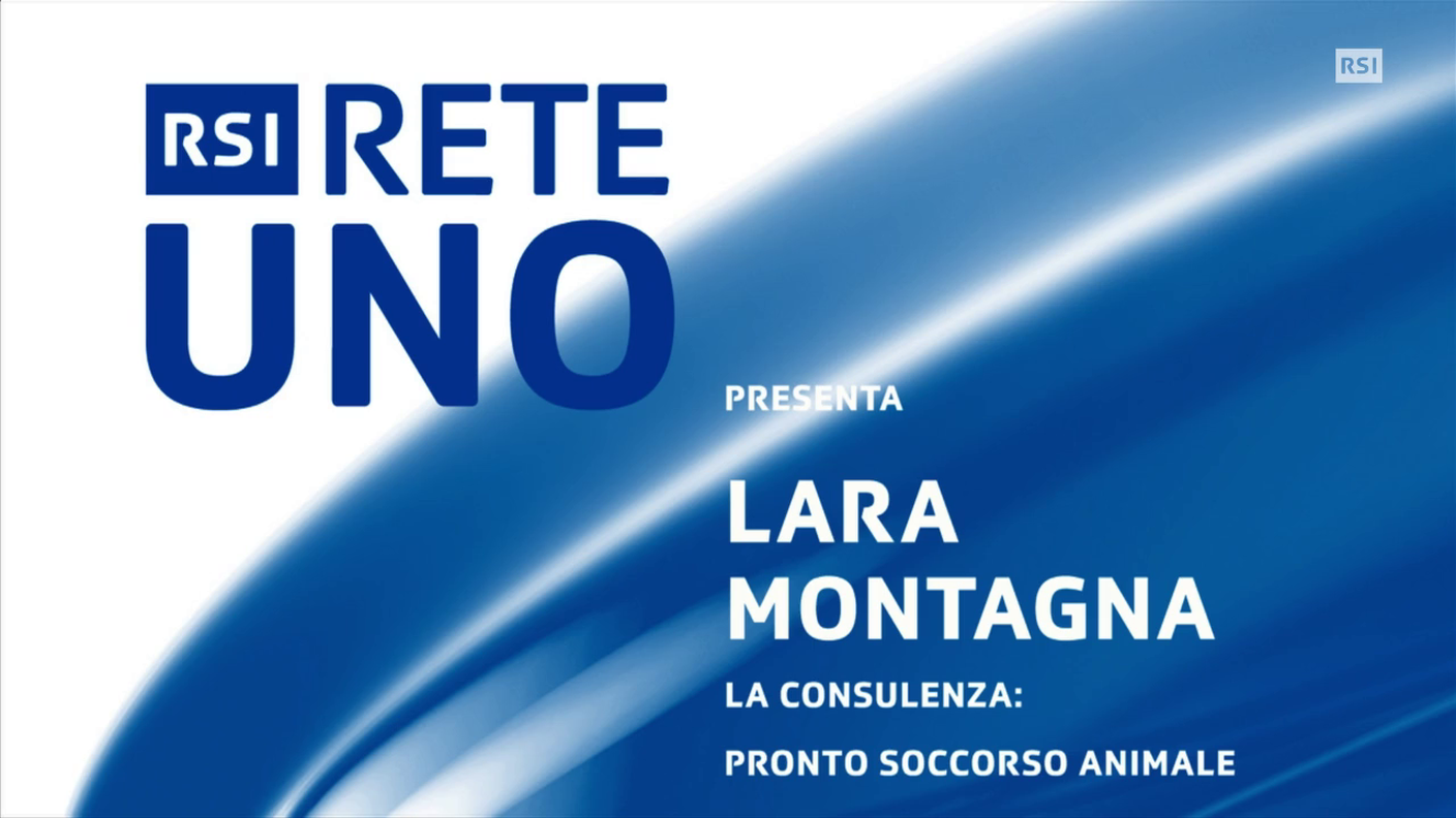 STRM-LA CONSULENZA PRONTO SOCCORSO ANIMALE OK (Mattia Capezzoli)