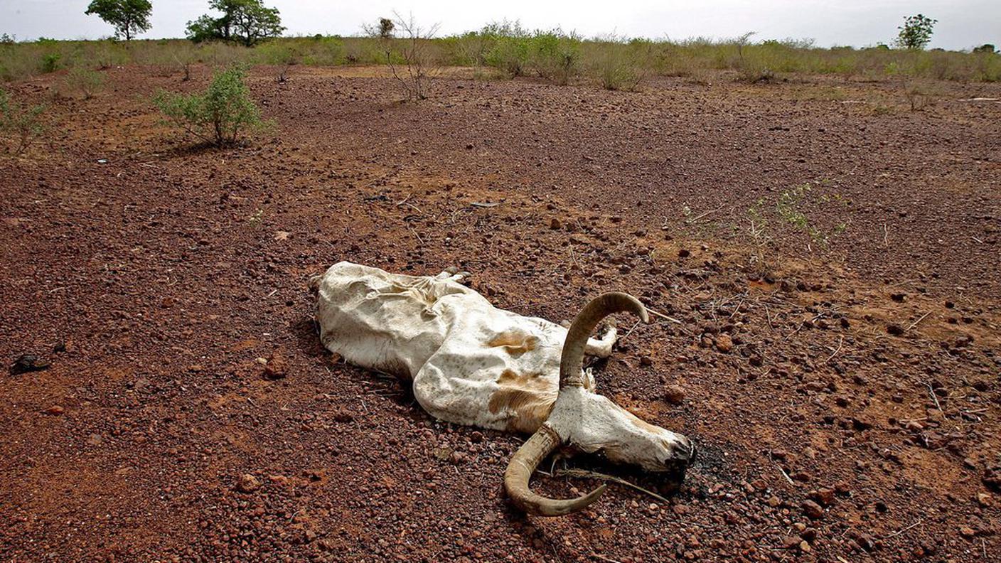 Non solo inondazioni: in Mali, ad esempio, non piove più