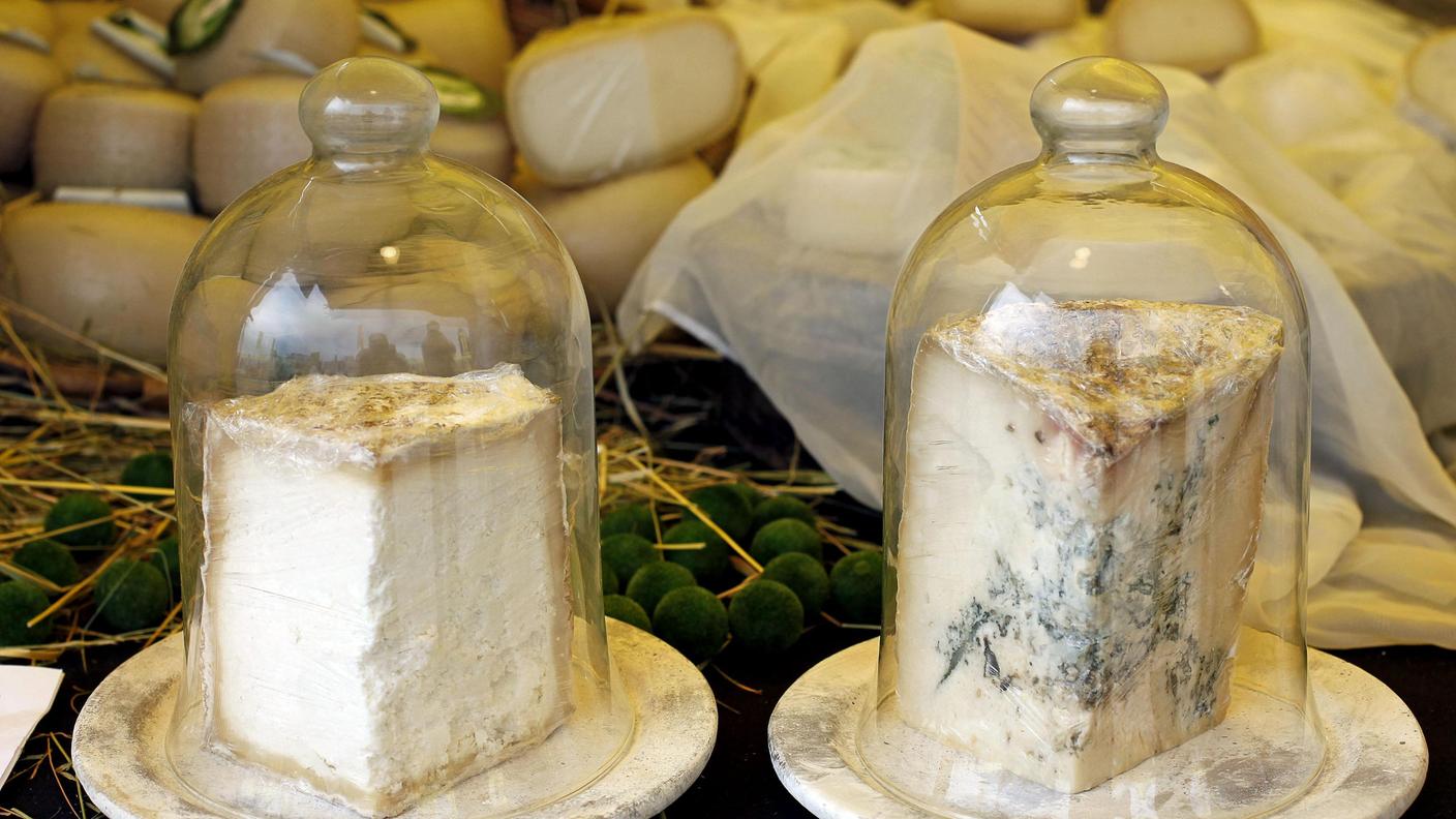 Gorgonzola, affare ghiotto?
