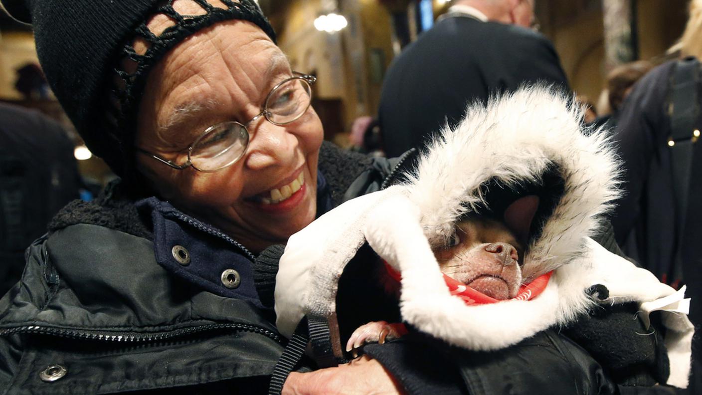 Pensarci bene prima di regalare un cucciolo