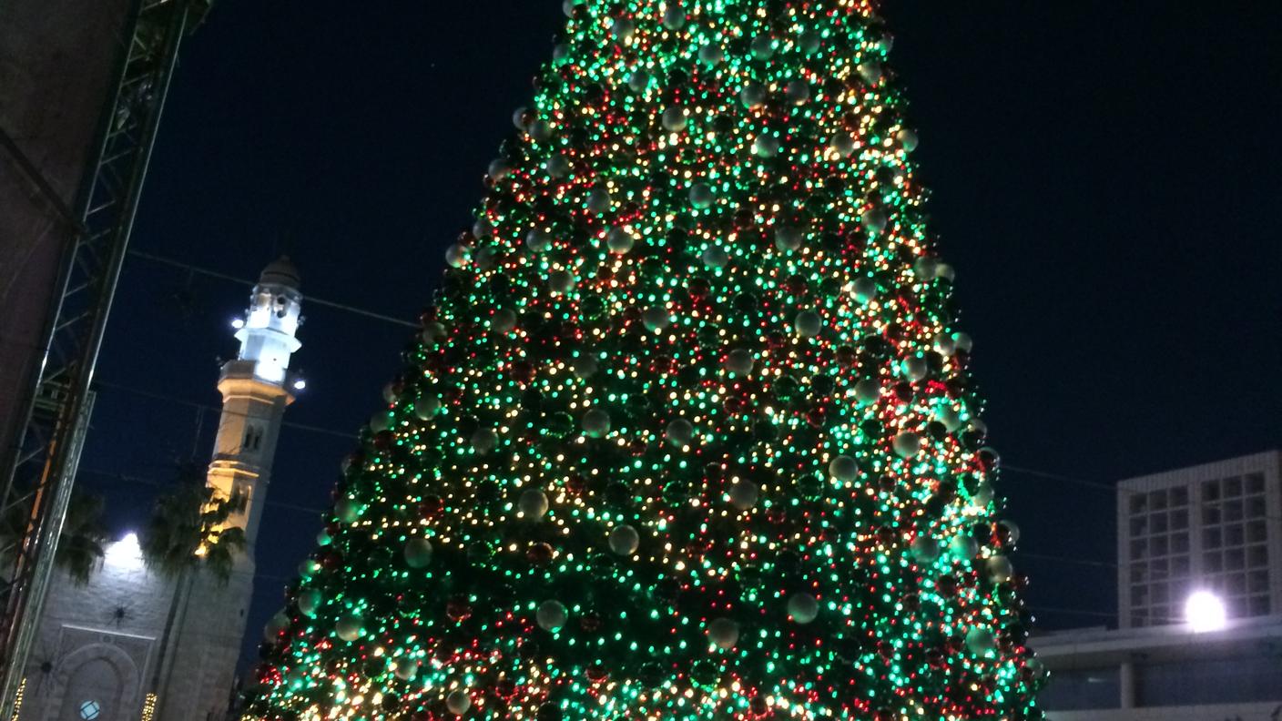 L'albero illuminato in città