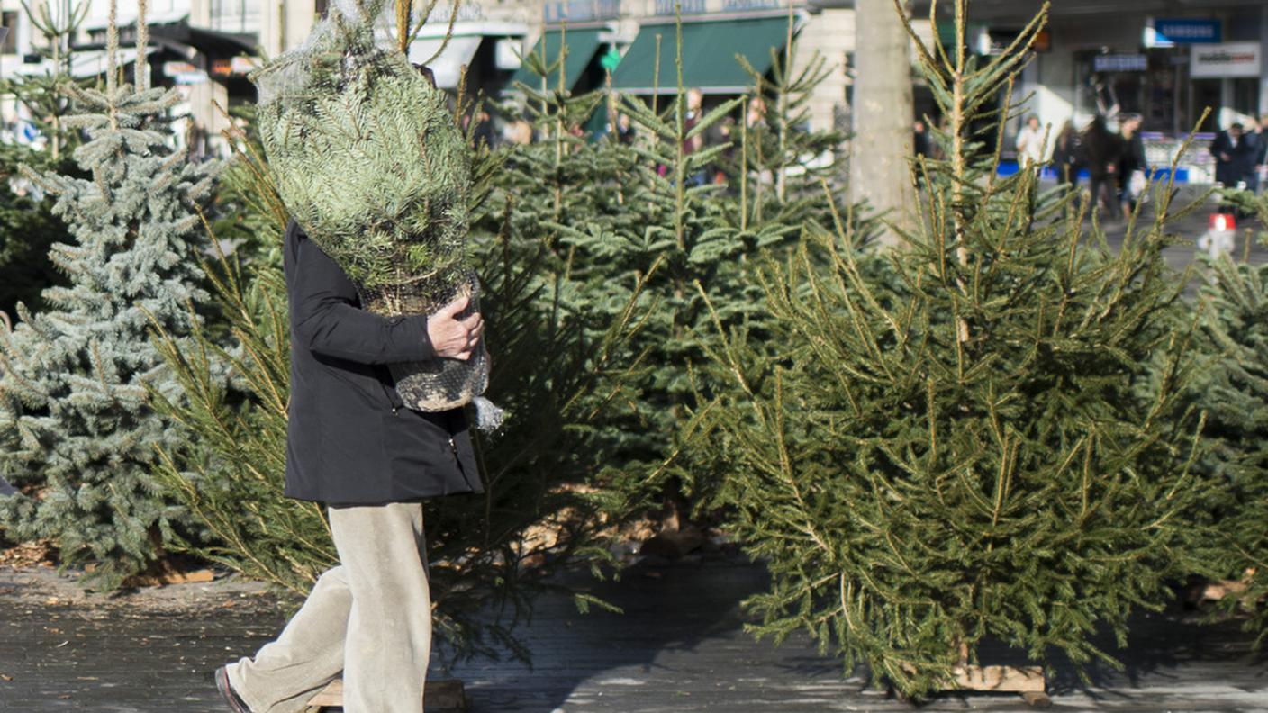 Buone le vendite per il Natale 2014