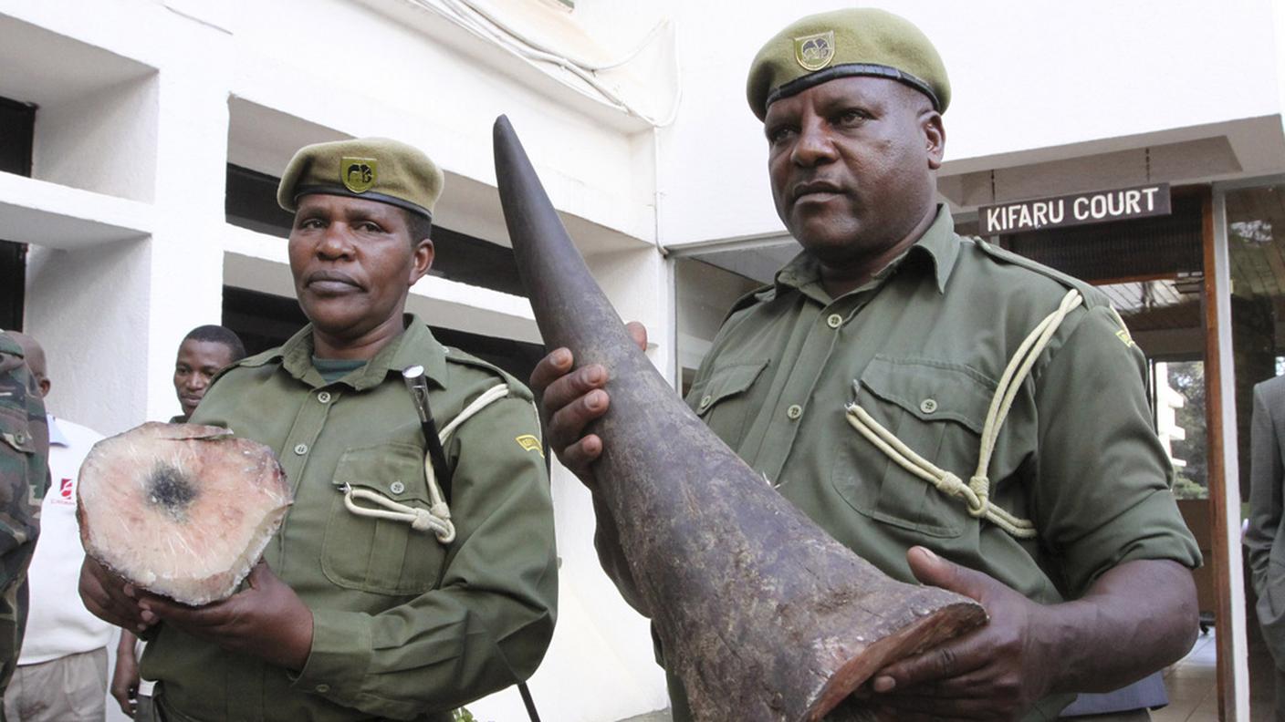 Poliziotti kenioti con il frutto di un sequestro
