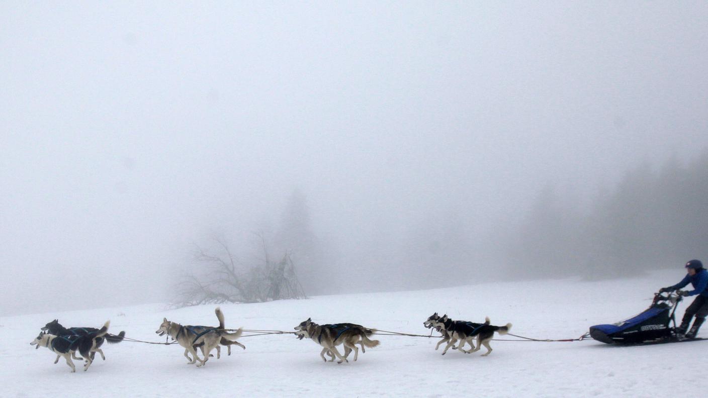 Sfrecciando nella nebbia. Partenza? Jedlova (Repubblica Ceca)