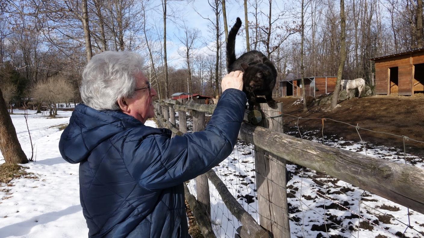 “Manca solo una giraffa", ha detto ridendo il coordinatore del centro mostrandoci tutti gli animali presenti 