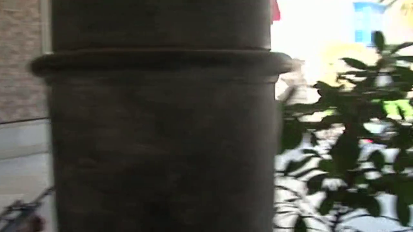 781026-2015-1-Tunis_attack (1).mp4