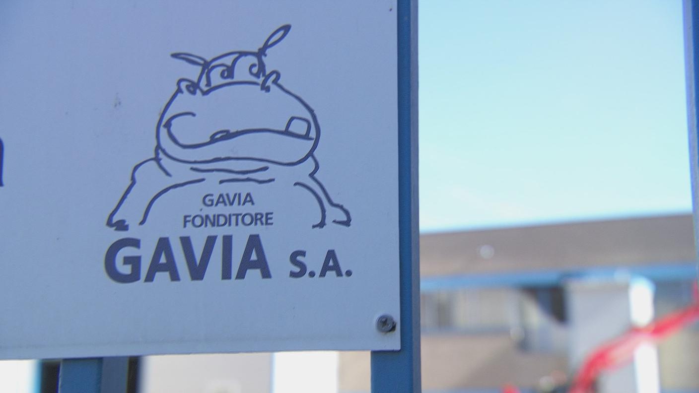 GAVIA.JPG