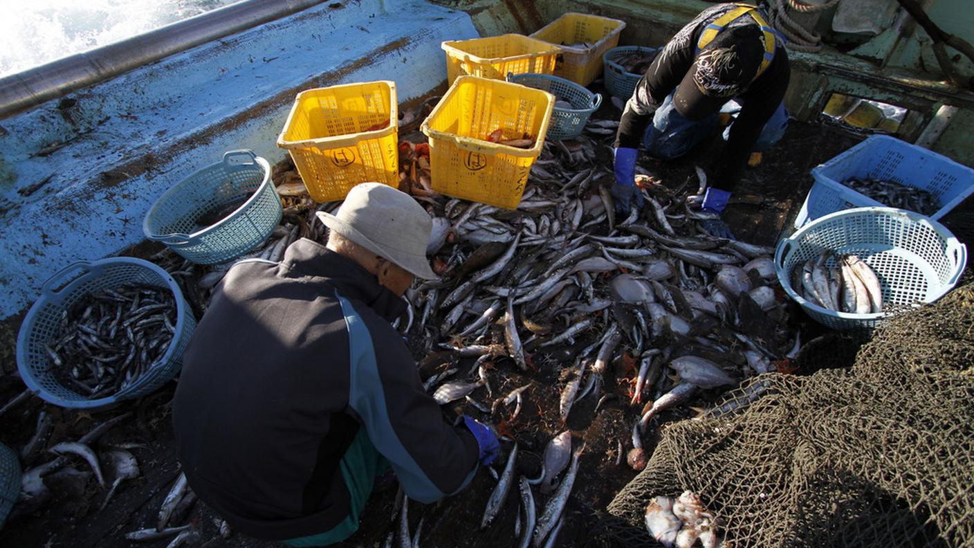 La sciagura è successa al largo della penisola della Camciatca