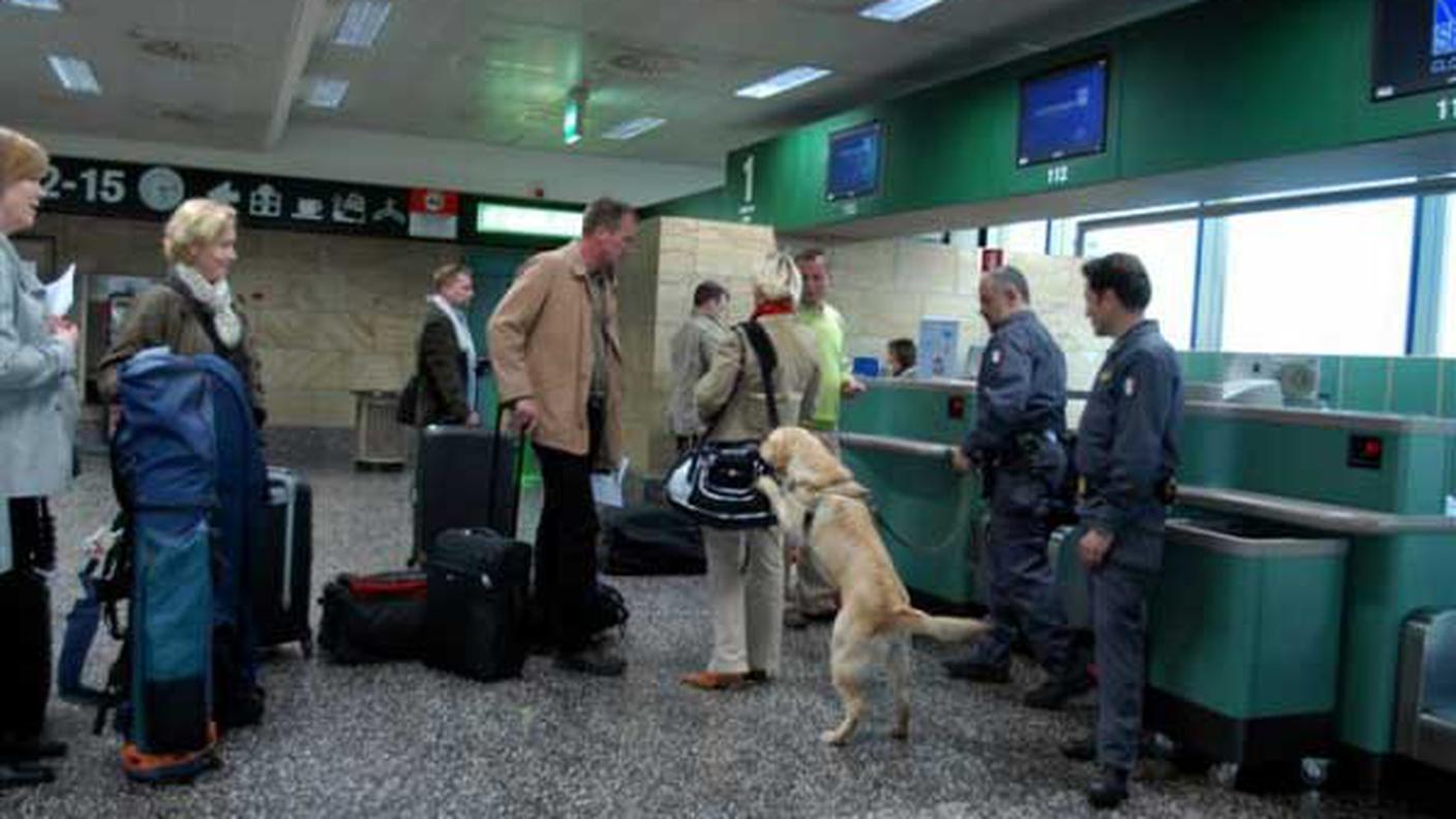 Tango, il labrador con un vero fiuto per i quattrini