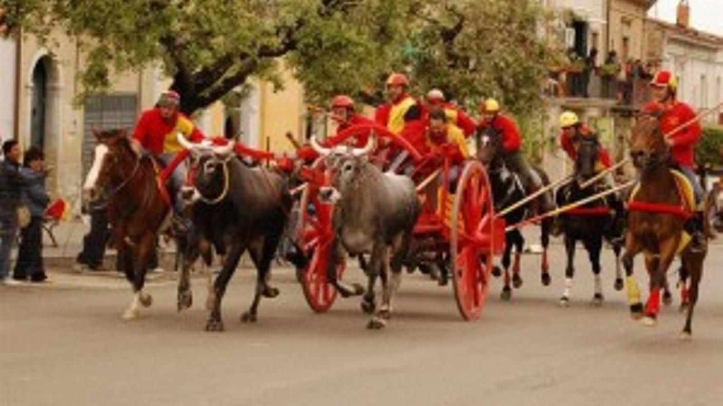 Un momento delle Carresi molisane nel 2014 (da moliseturismo.it)