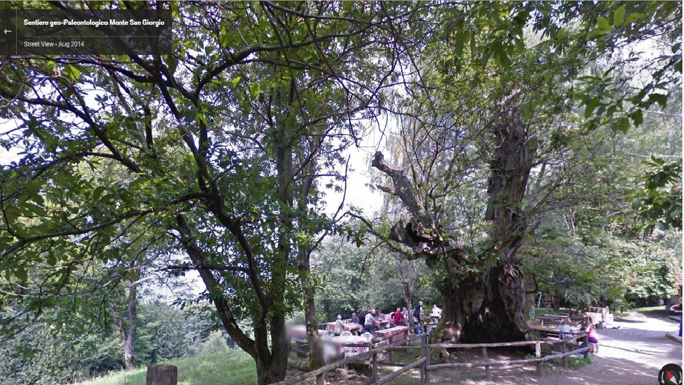 Il sentiero del Monte San Giorgio su Google Street View