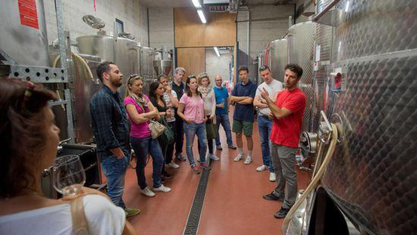 All'interno di una cantina