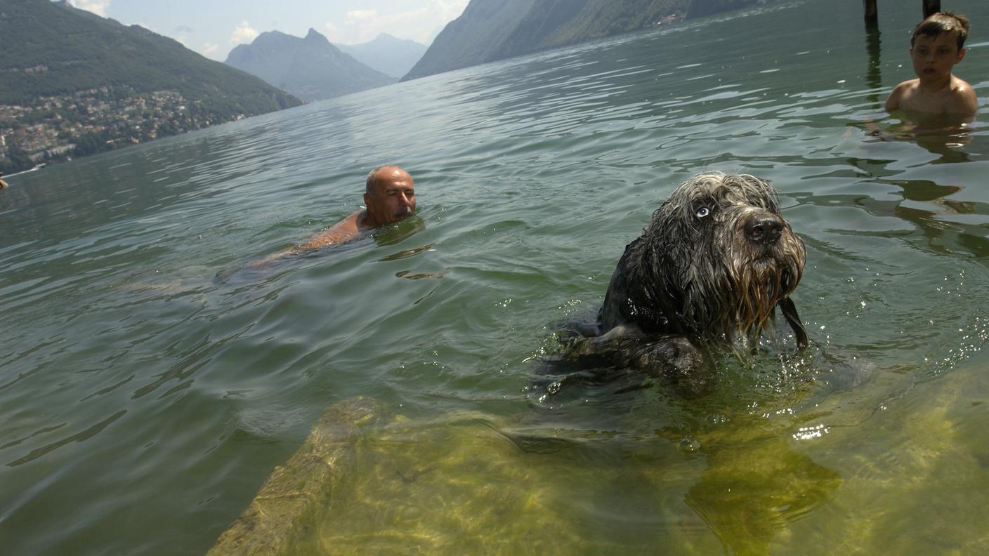 Un bagno rinfrescante, perché no...