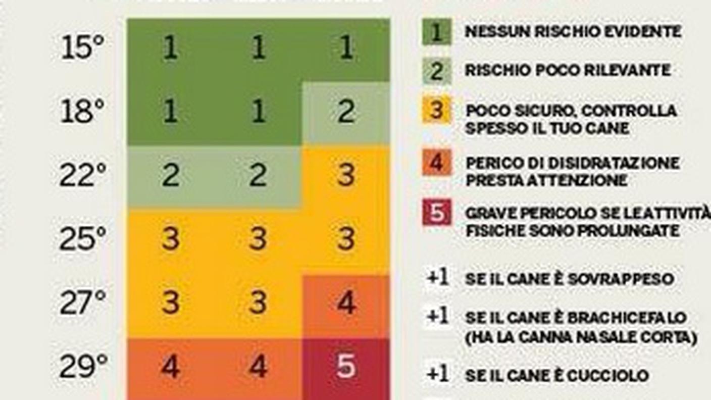 Clicca sull'immagine per ingrandire