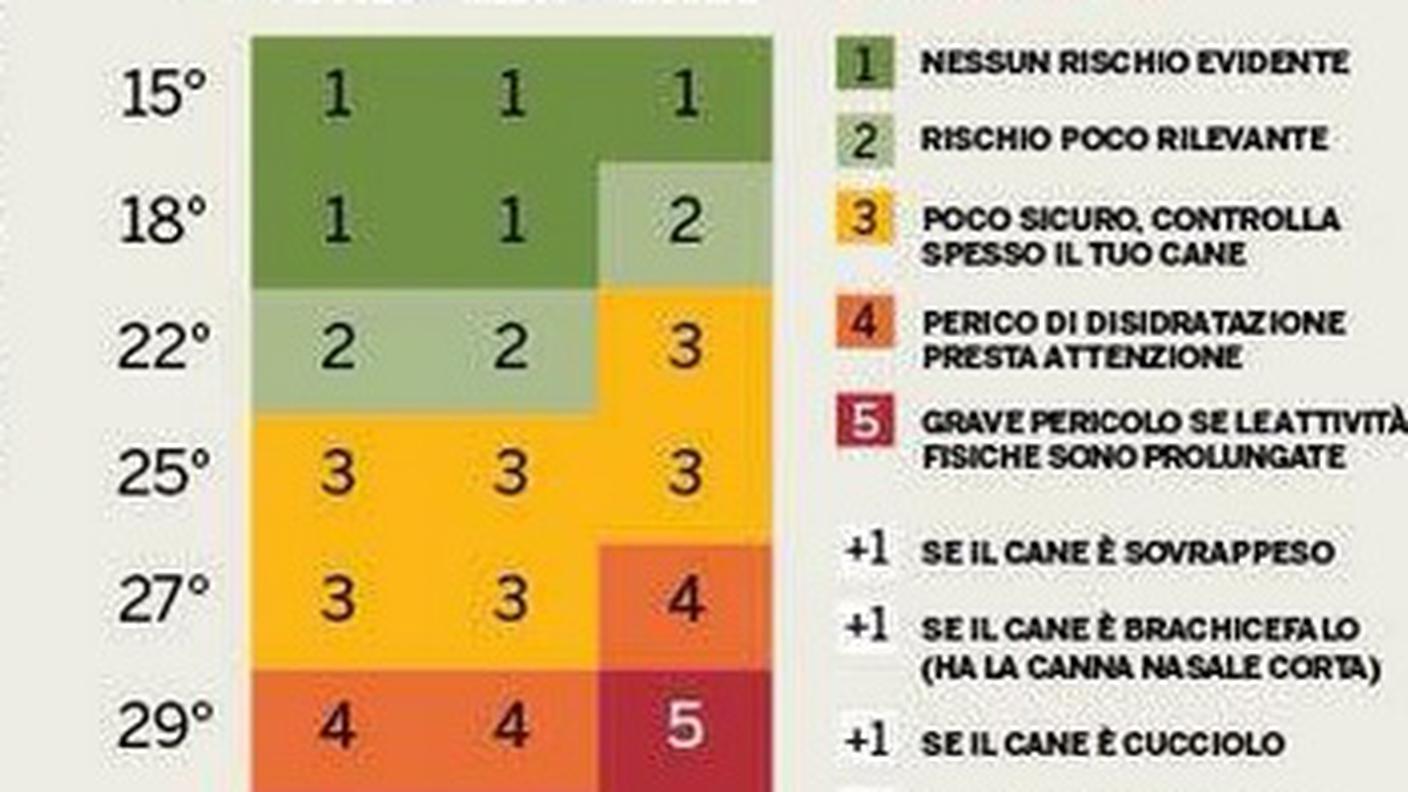 Clicca sull'immagine per ingrandire