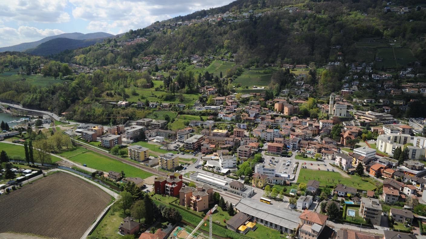 In caso di proscioglimento, la procedura potrà essere ripresa