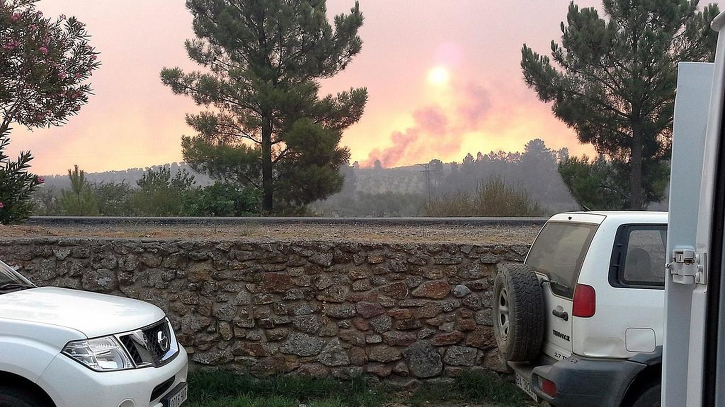 Il fuoco ha già distrutto quasi 6 mila ettari di boschi