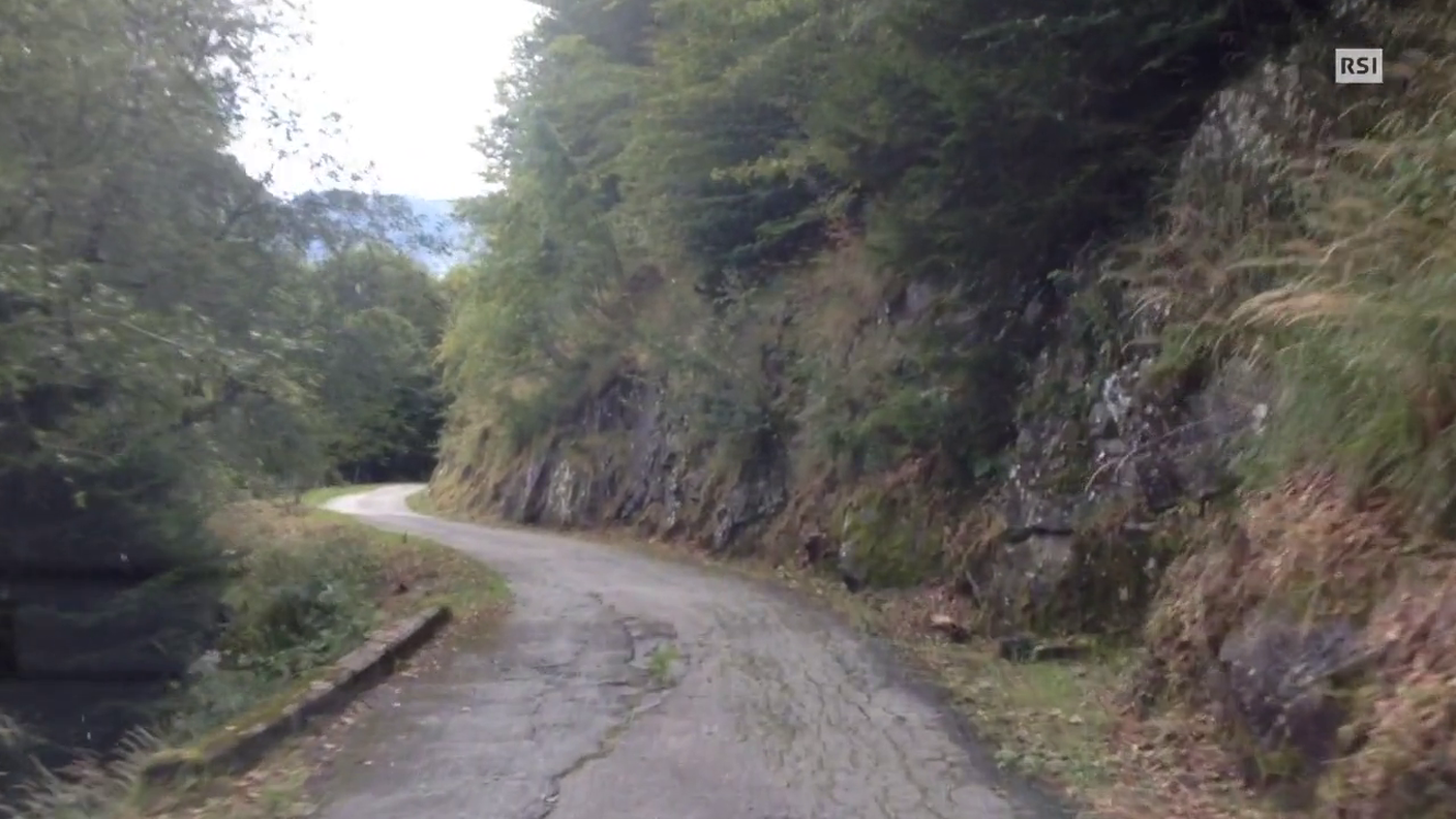 Sulle tracce dell'orso a Roveredo - montaggio Lino Bini