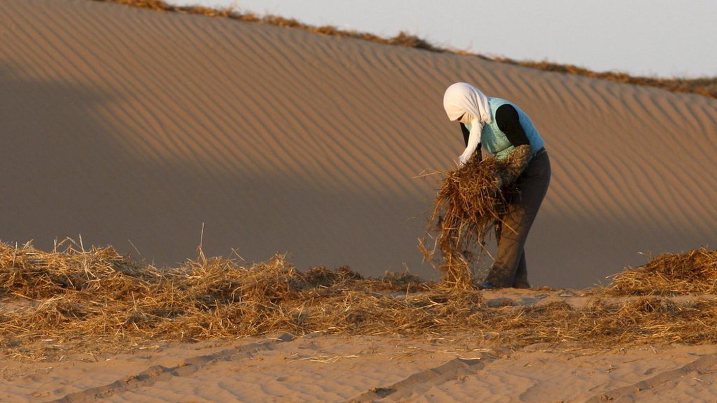 Anche la desertificazione, qui in un'area nella Cina centrale, contribuisce alla estensione del fenomeno