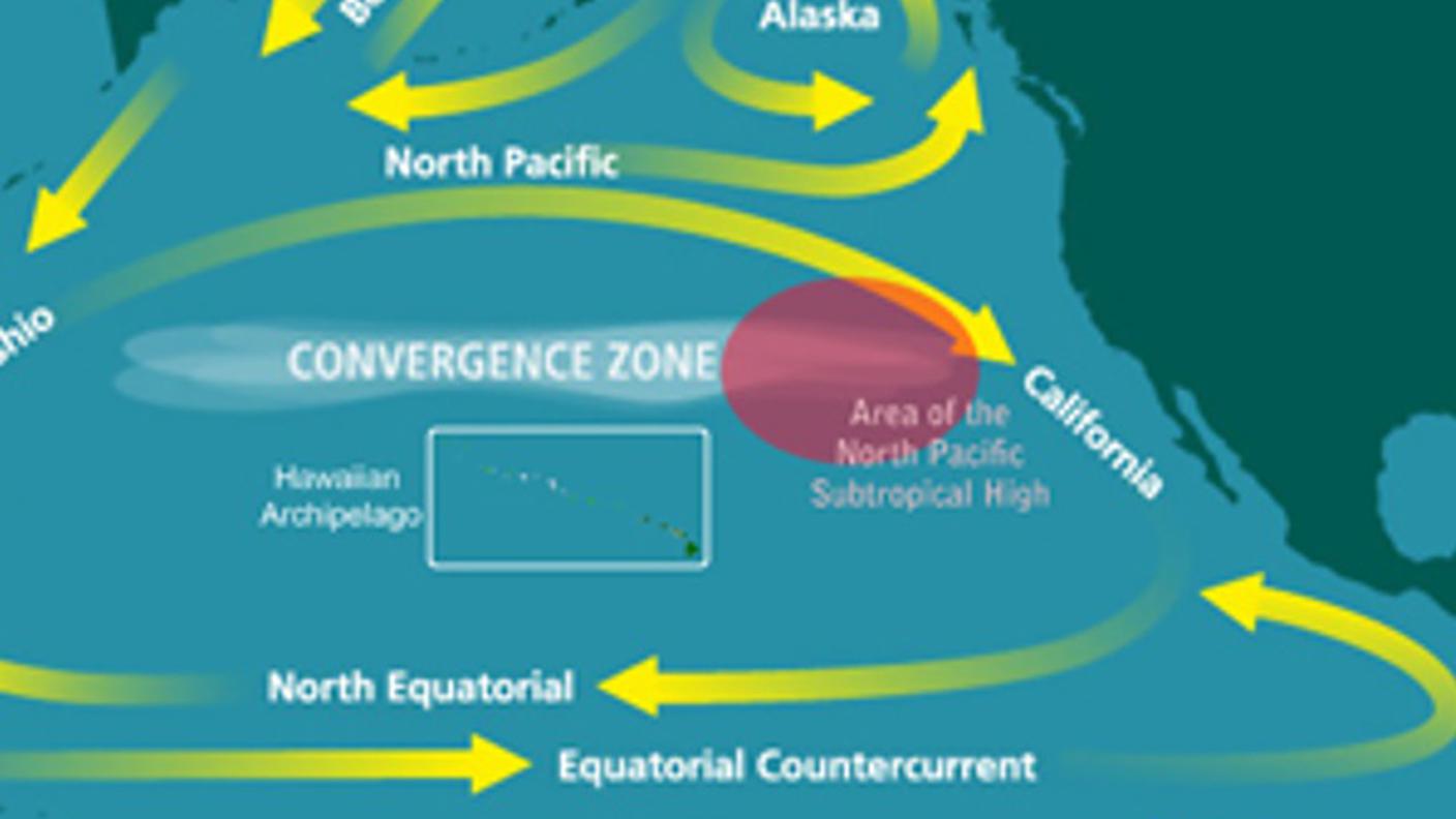 La plastica, mossa dalle correnti, si concentra in alcuni punti, tra cui quello noto come "The Great Pacific Garbage Patch"