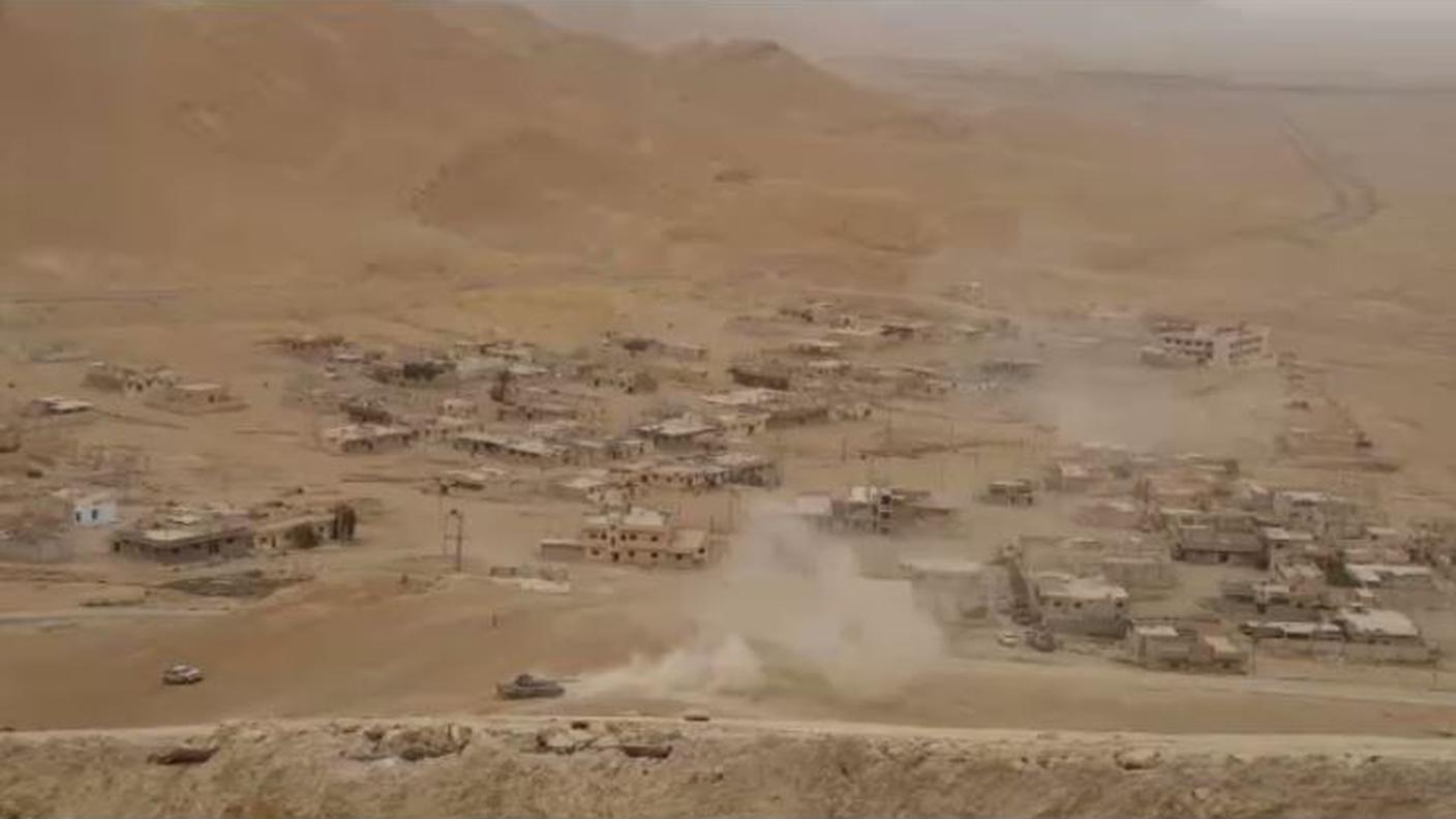 PALMIRA.JPG