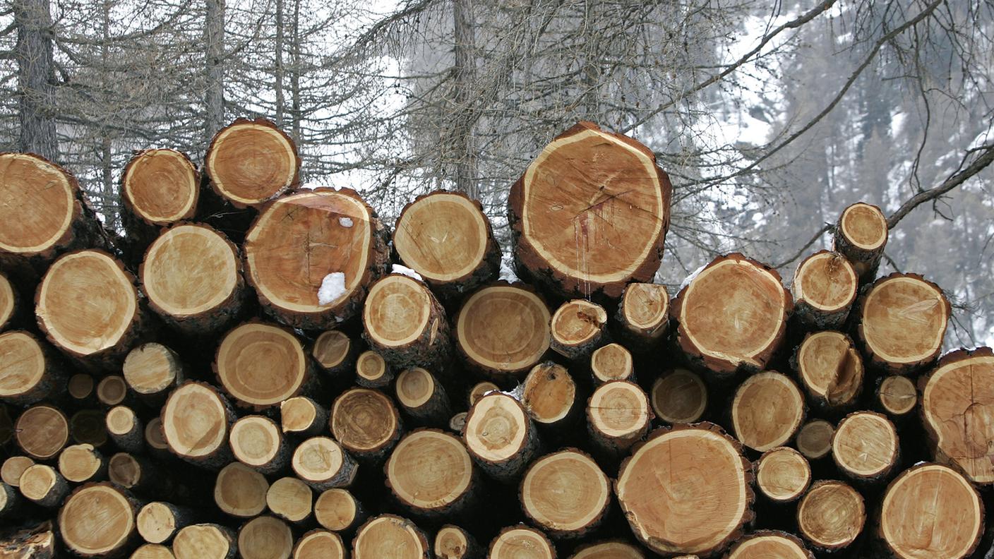 La fondazione ha presentato a Losanna una nuova campagna dedicata alle imprese del legno