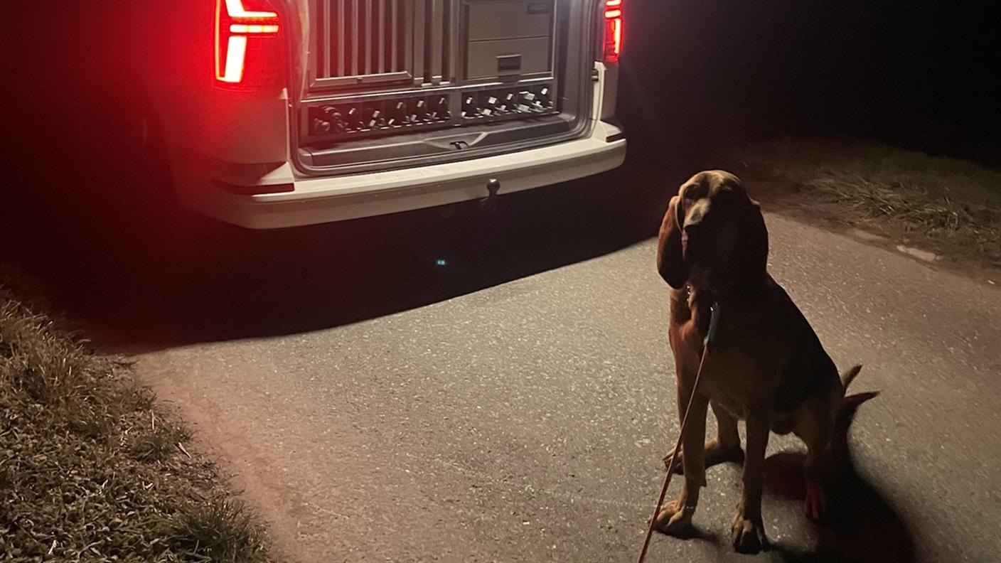 Il conducente, un 17enne svizzero, è stato fermato dopo l'inseguimento con l’ausilio di un cane da ricerca