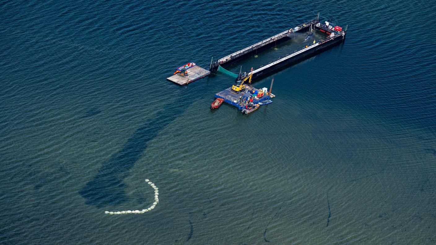 Il canale scavato nel fondale per trainare la megattera Timmy fino alla chiatta