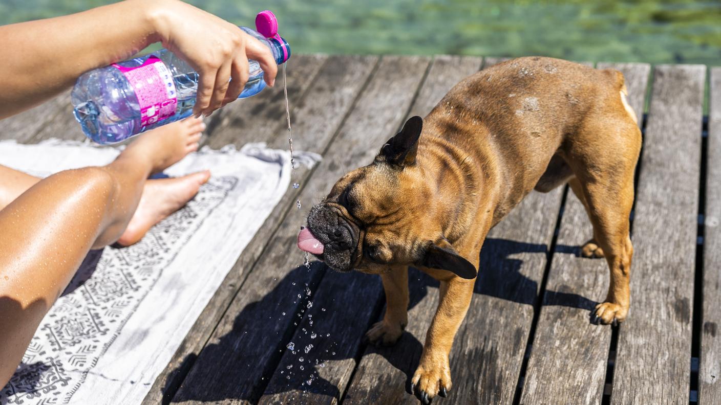 La temperatura media nazionale tra marzo e maggio ha superato di 1,6 gradi i valori di riferimento del periodo 1991-2020