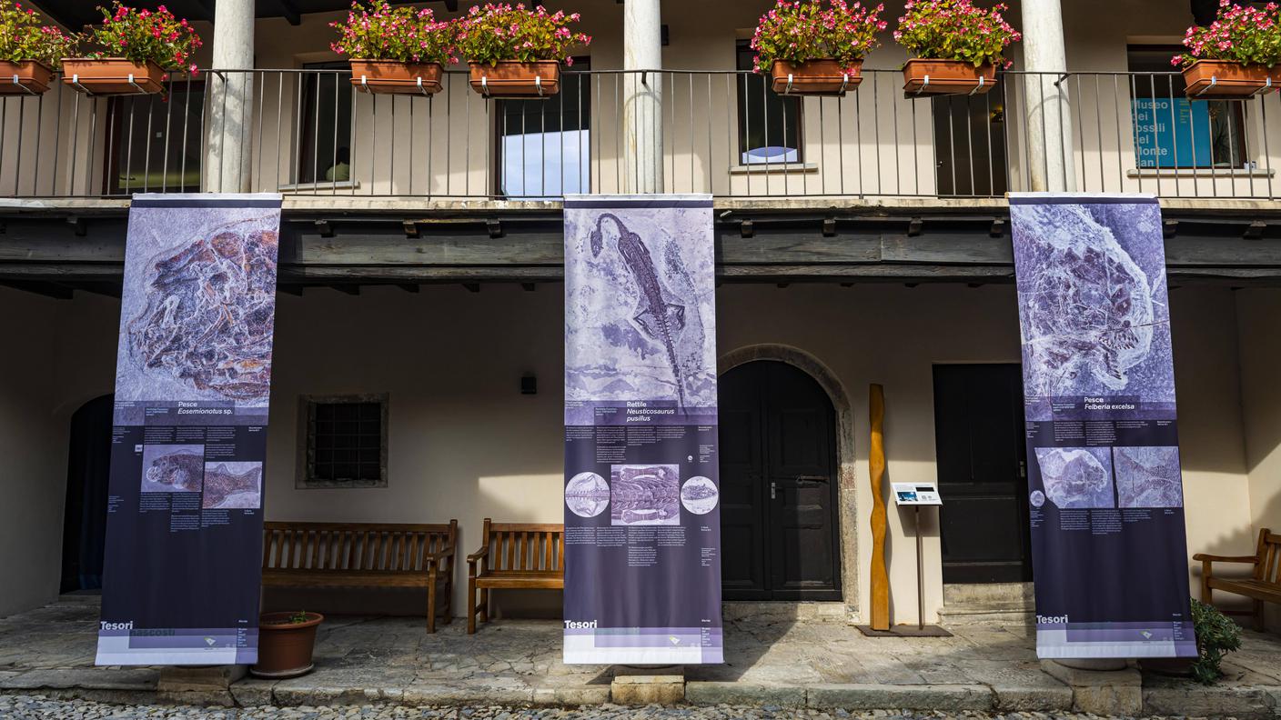 Corte interna museo di Meride.jpg