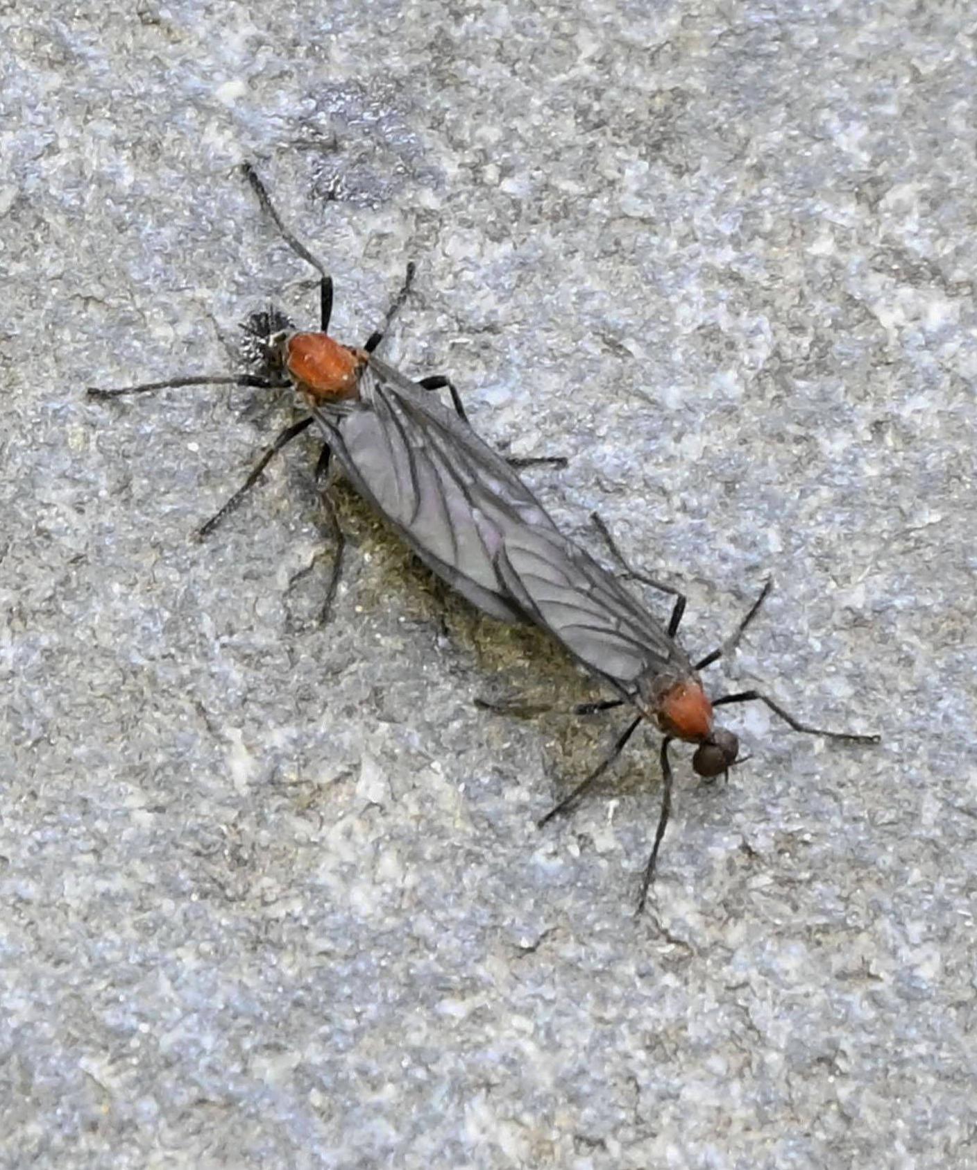 imago704292782_Kyodo_News.jpg