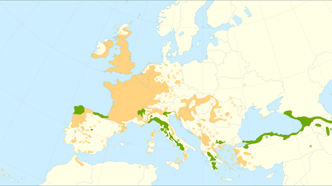 Castanea_sativa_range.svg.png