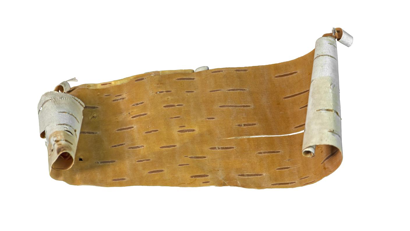 imago576455972.jpg