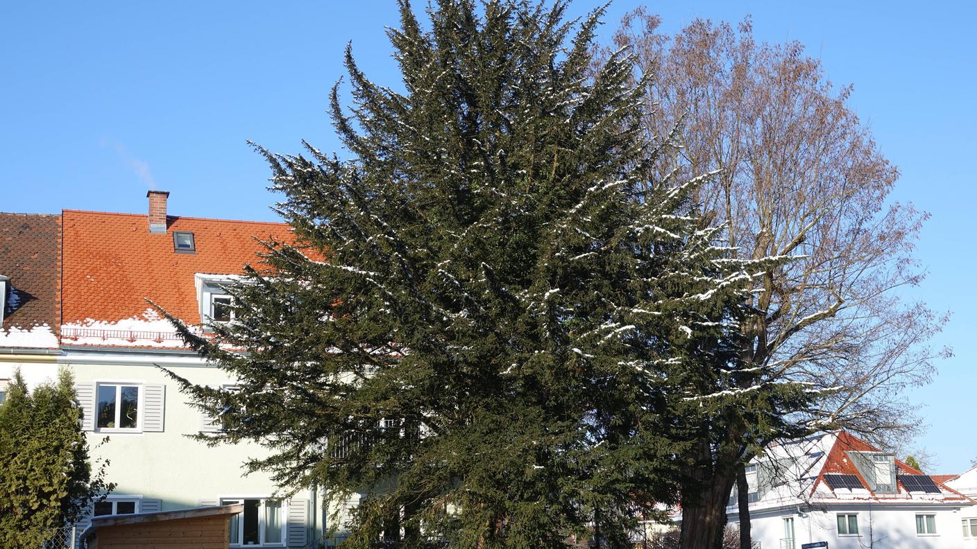 imago388674531.jpg