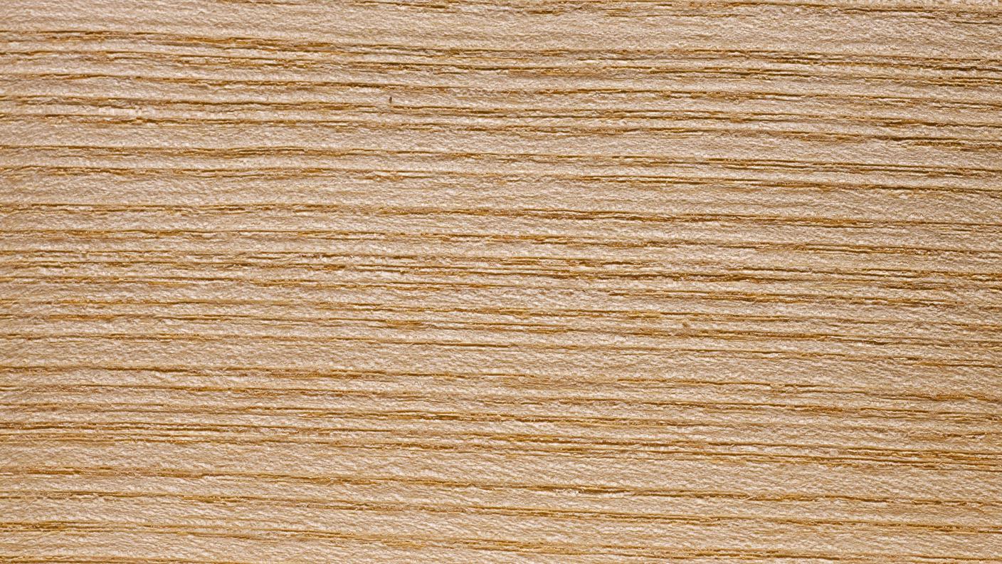 La grana fine e il tipico colore chiaro del legno di frassino