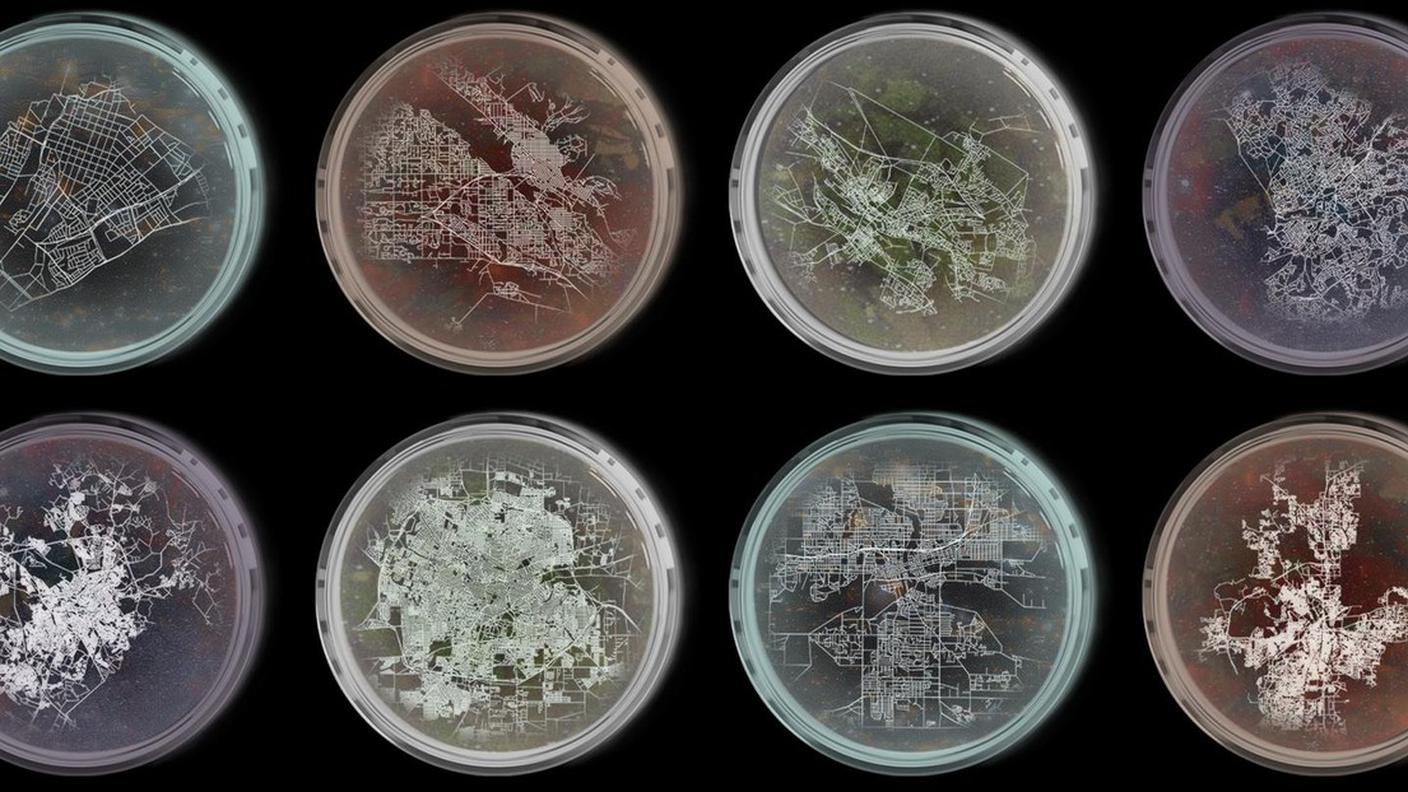 Città a confronto: secondo lo studio, gli spazi urbani sono regolati da leggi universali, proprio come ogni organismo vivente
