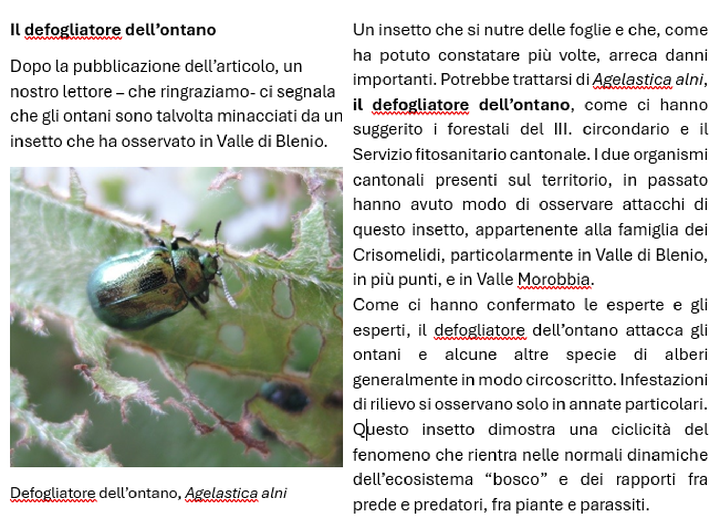 Screenshot 2025-12-01 183209.png