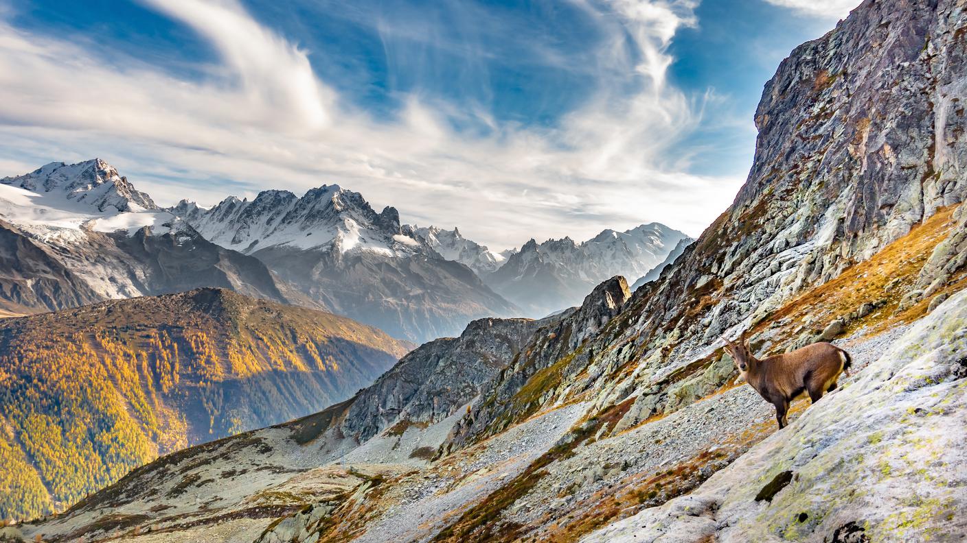 ╕ Parc naturel vallee du Trient (Trienttal).jpg