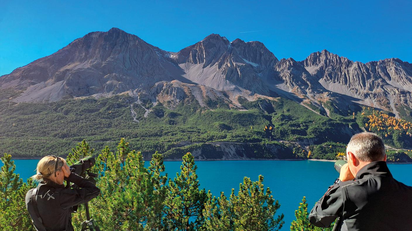 Cime di Plator: sui loro versanti sono state scoperte le lastre rocciose affioranti con le orme fossili (Valle di Fraele, Parco dello Stelvio)