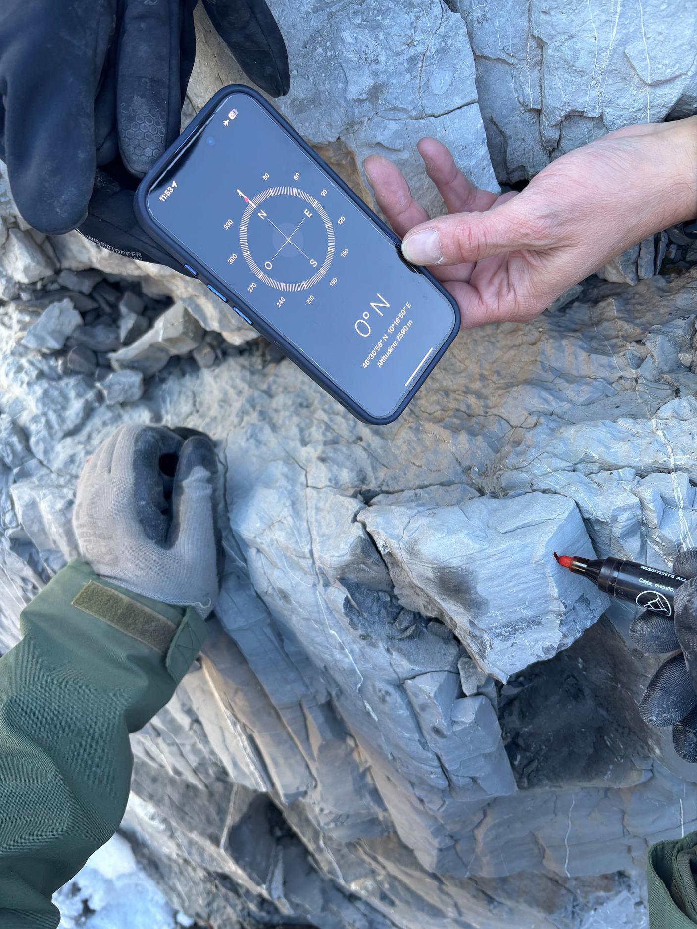 Raccolta di campioni di roccia dello “strato 0”, ovvero quello più ricco di orme. Tagliati in fette 
sottilissime e osservati al microscopio, questi campioni servono per comprendere l’ambiente in cui 
camminarono i dinosauri
