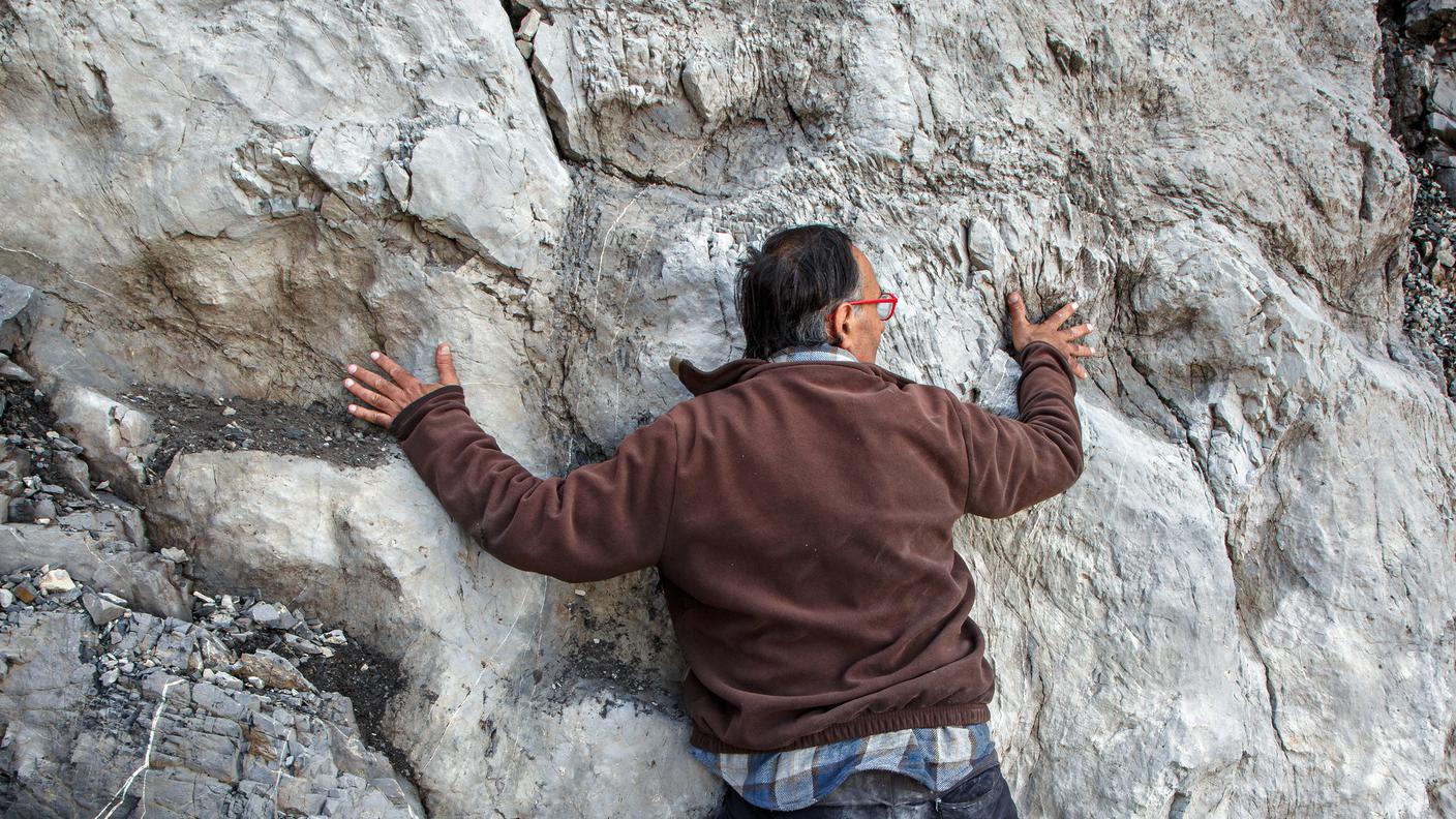 Alcune orme di prosauropode raggiungono i 40 cm di diametro.