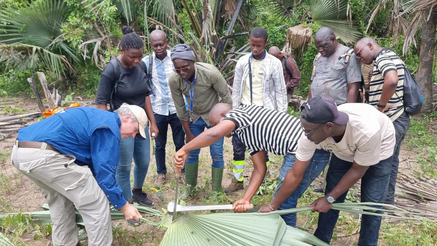 Un momento di studio sul campo