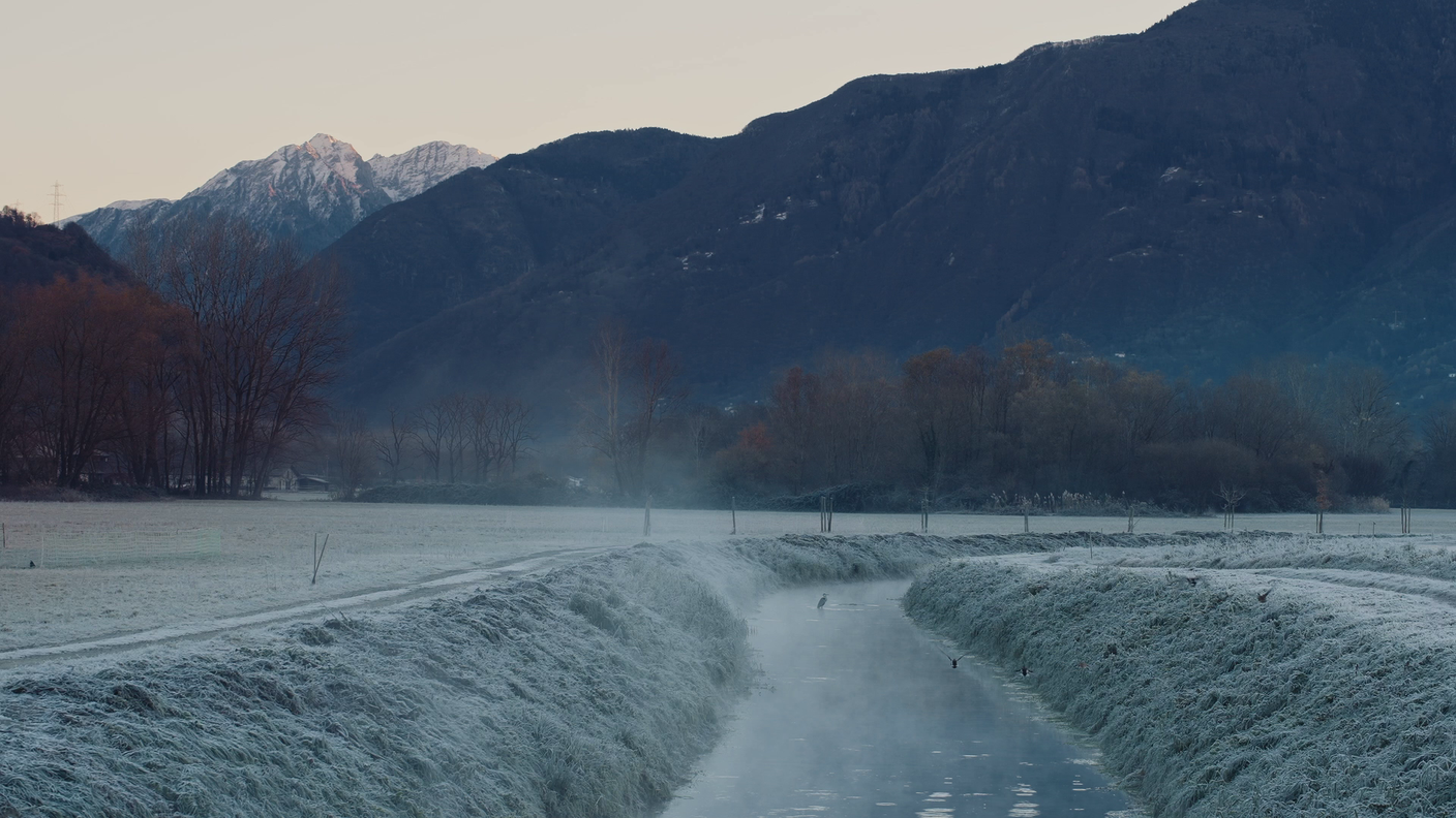 Il piano di Magadino imbiancato dalla brina 