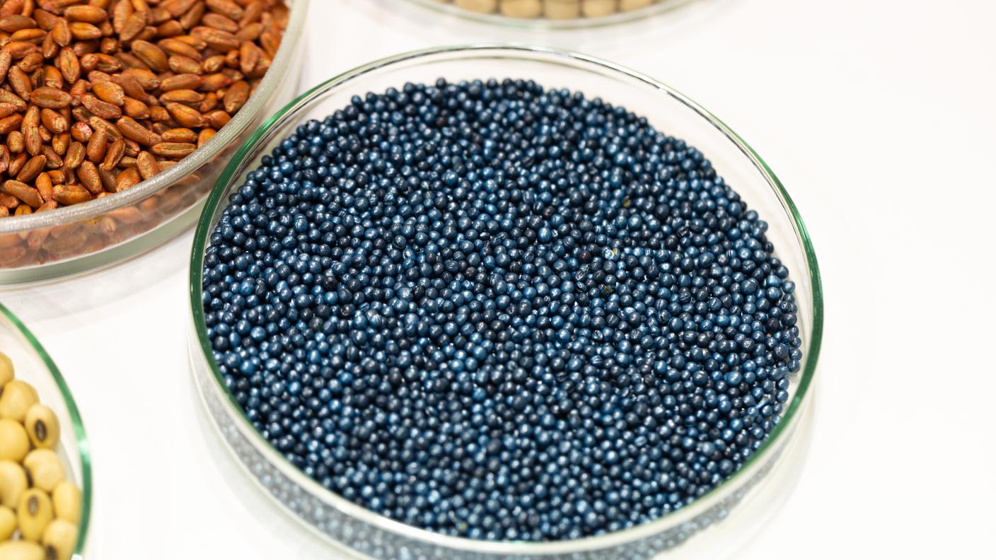 la "concia" (il rivestimento) dei semi è una delle modalità di applicazione di insetticidi neonicotinoidi 