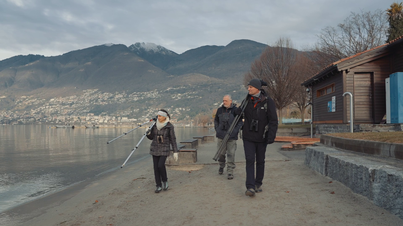 Le volontarie e i volontari sono la spina dorsale del Censimento internazionale degli uccelli acquatici