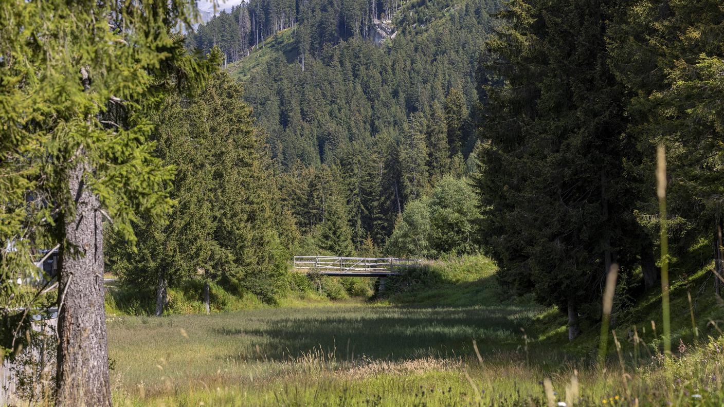 Zona paludosa, Campra, Valle di Blenio