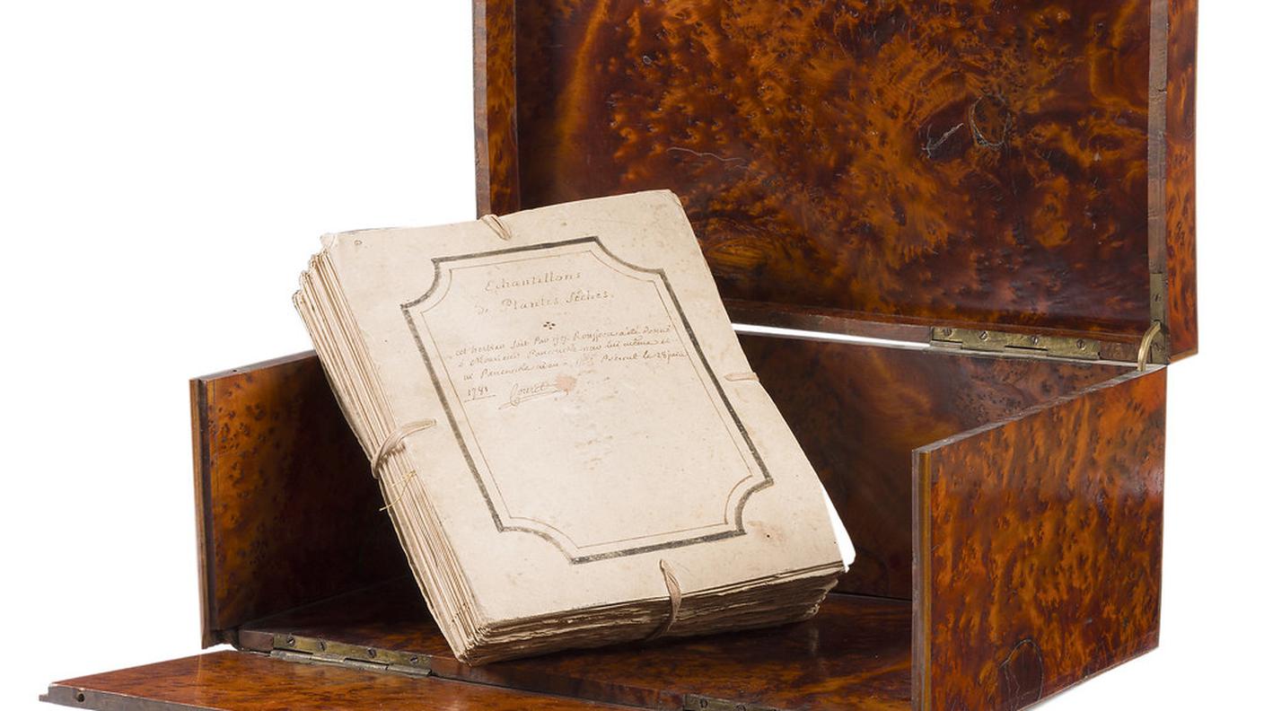 L'erbario di Rousseau acquisito dal Conservatorio e Giardino botanico di Ginevra