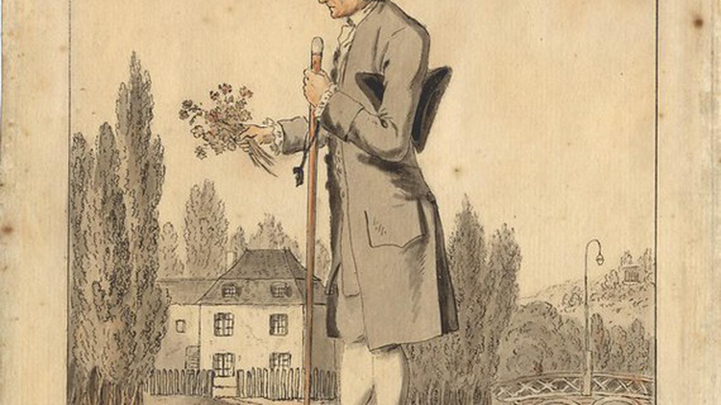 Jean-Jacques Rousseau intento a erborizzare