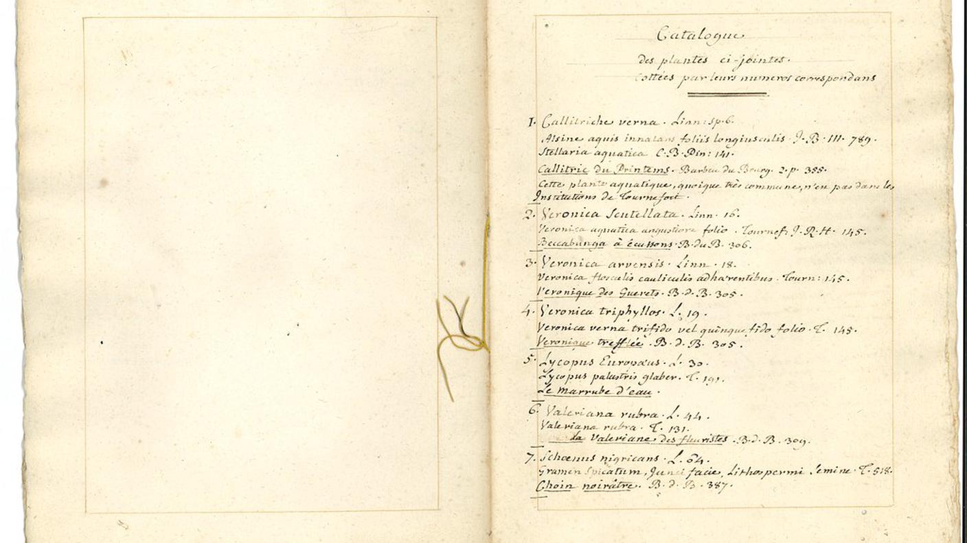 L'indice dell'erbario 