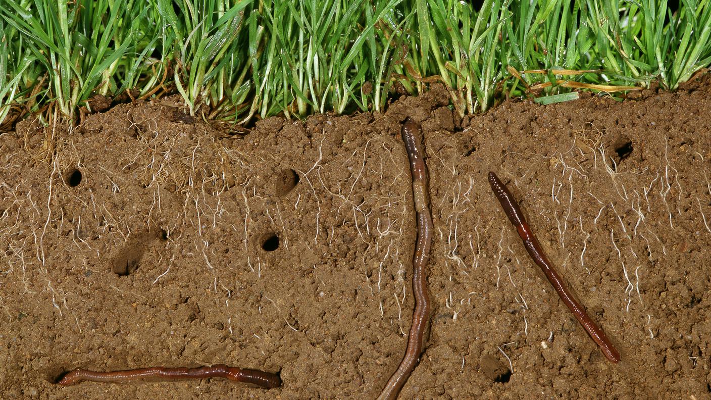 Un suolo che respira